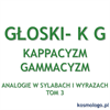 ANALOGIE W SYLABACH I WYRAZACH TOM 3 - GŁOSKI K, G