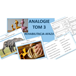 ANALOGIE - REHABILITACJA AFAZJI